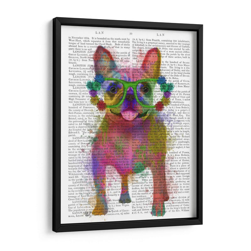 Bulldog Francés Splash Arco Iris, Lleno - Fab Funky | Cuadro decorativo de Canvas Lab