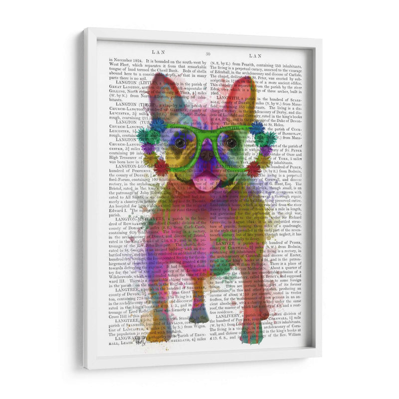 Bulldog Francés Splash Arco Iris, Lleno - Fab Funky | Cuadro decorativo de Canvas Lab