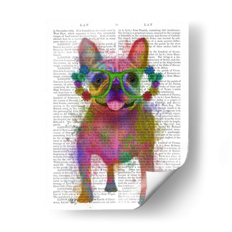 Bulldog Francés Splash Arco Iris, Lleno - Fab Funky | Cuadro decorativo de Canvas Lab