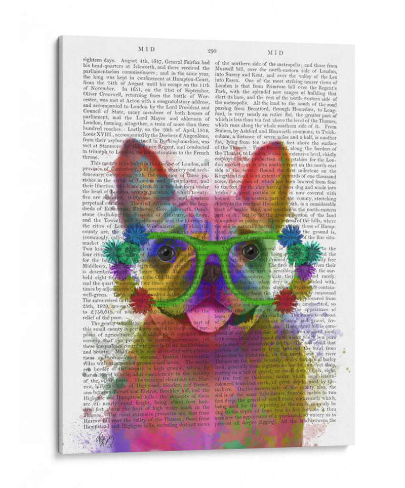 Rainbow Splash Bulldog Francés, Retrato - Fab Funky | Cuadro decorativo de Canvas Lab