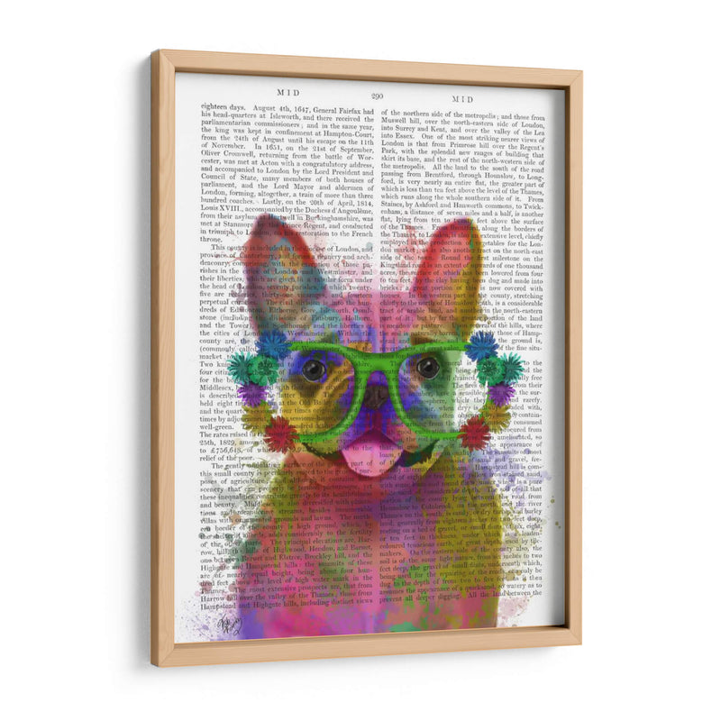 Rainbow Splash Bulldog Francés, Retrato - Fab Funky | Cuadro decorativo de Canvas Lab