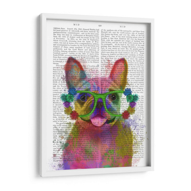 Rainbow Splash Bulldog Francés, Retrato - Fab Funky | Cuadro decorativo de Canvas Lab