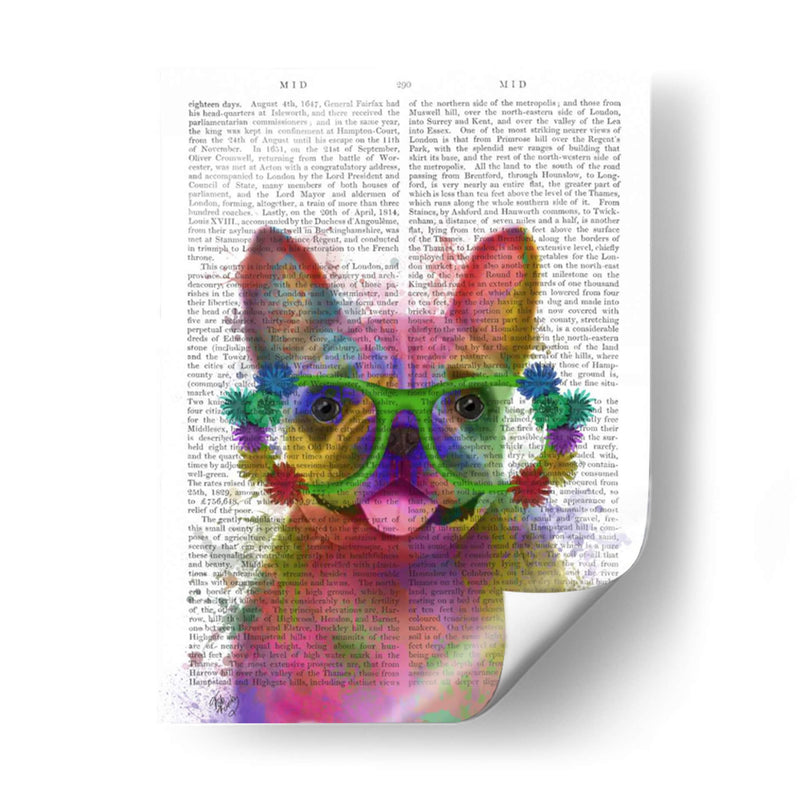 Rainbow Splash Bulldog Francés, Retrato - Fab Funky | Cuadro decorativo de Canvas Lab