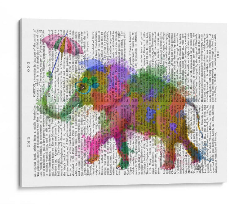 Arco Iris Salpicaduras Elefantes - Fab Funky | Cuadro decorativo de Canvas Lab