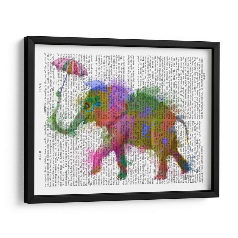 Arco Iris Salpicaduras Elefantes - Fab Funky | Cuadro decorativo de Canvas Lab