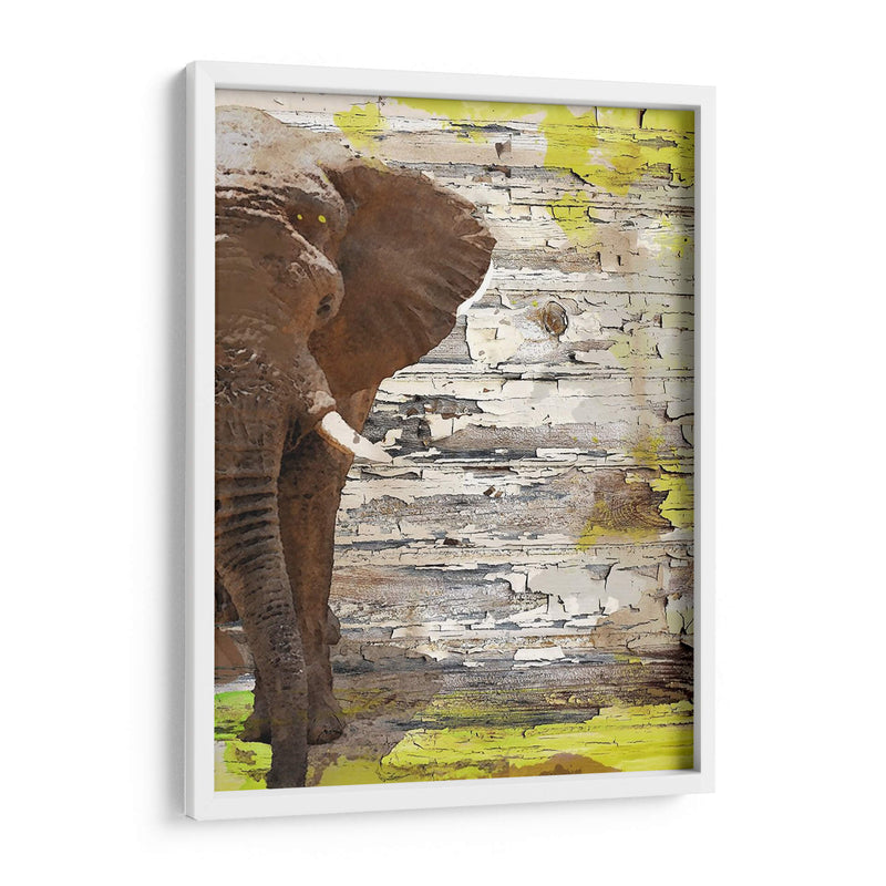 El Elefante I - Irena Orlov | Cuadro decorativo de Canvas Lab