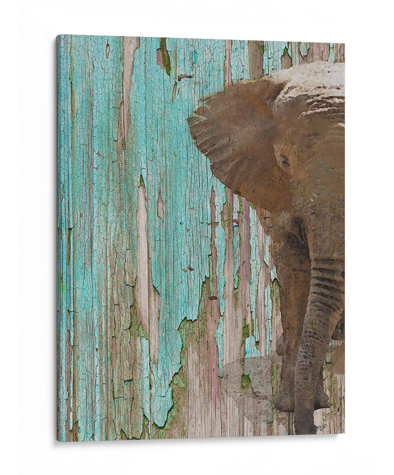 El Elefante Ii - Irena Orlov | Cuadro decorativo de Canvas Lab