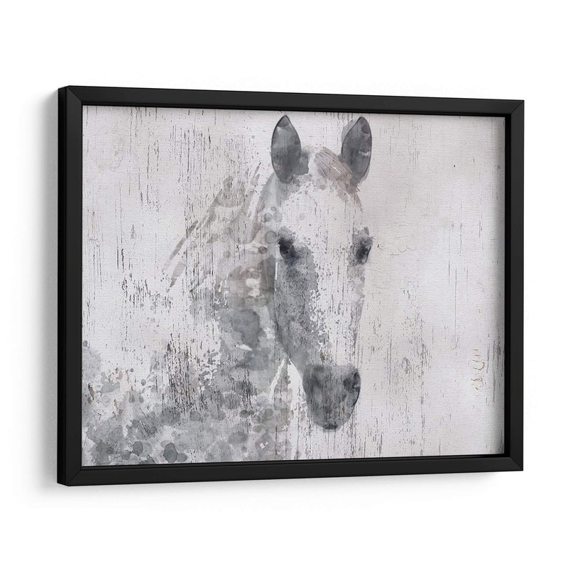 Dapple Horse I - Irena Orlov | Cuadro decorativo de Canvas Lab