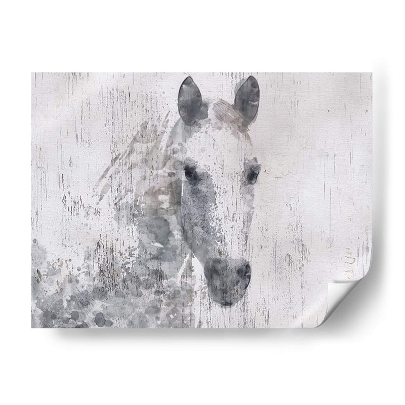 Dapple Horse I - Irena Orlov | Cuadro decorativo de Canvas Lab