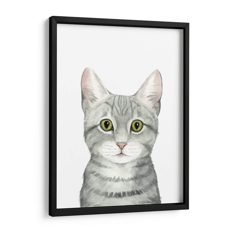 Cat Retrato Iii - Grace Popp | Cuadro decorativo de Canvas Lab