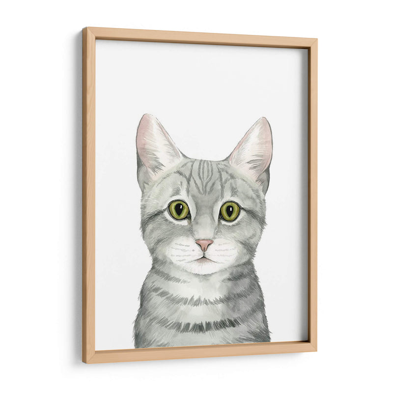 Cat Retrato Iii - Grace Popp | Cuadro decorativo de Canvas Lab