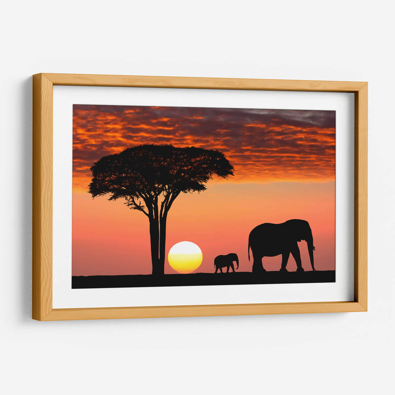 Ocaso en África | Cuadro decorativo de Canvas Lab