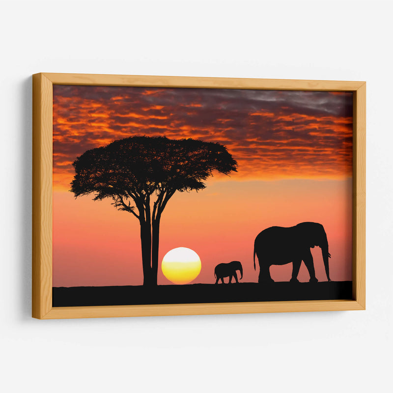 Ocaso en África | Cuadro decorativo de Canvas Lab