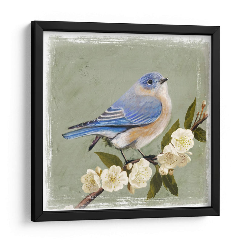Bluebird Branch I - Victoria Borges | Cuadro decorativo de Canvas Lab