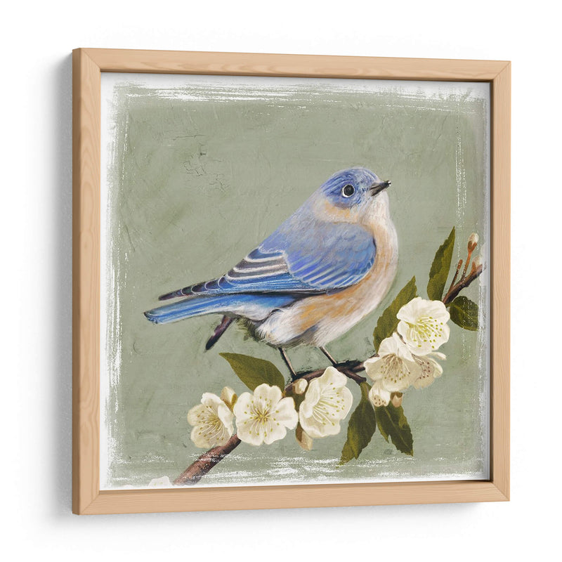 Bluebird Branch I - Victoria Borges | Cuadro decorativo de Canvas Lab