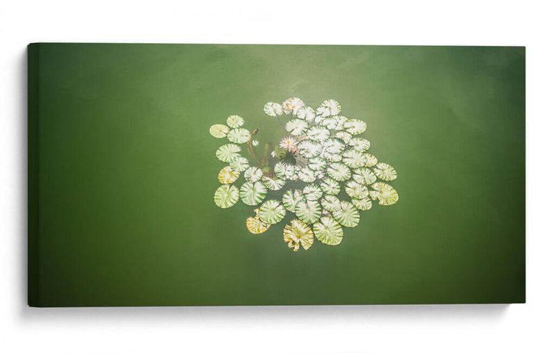 Lotto Flowers - Rev | Cuadro decorativo de Canvas Lab