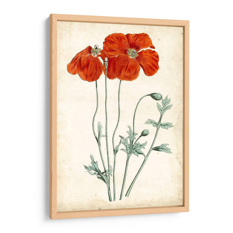 Mandarina Floral V - Curtis | Cuadro decorativo de Canvas Lab