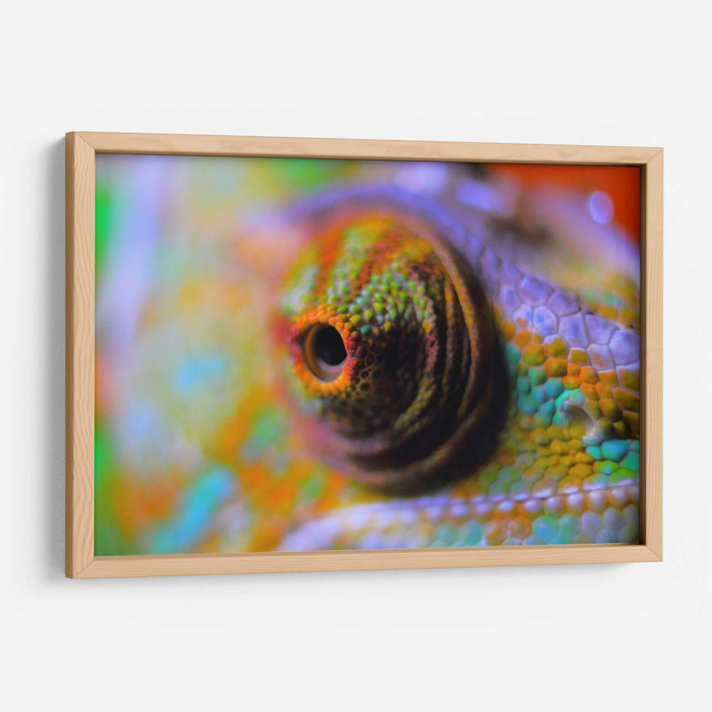 Ojo de camaleón | Cuadro decorativo de Canvas Lab