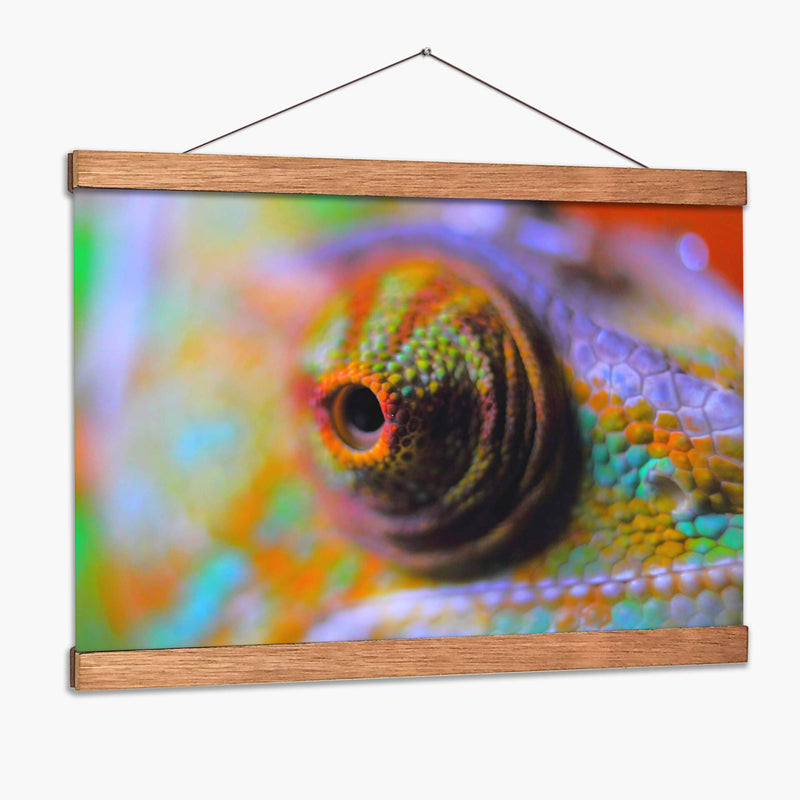 Ojo de camaleón | Cuadro decorativo de Canvas Lab