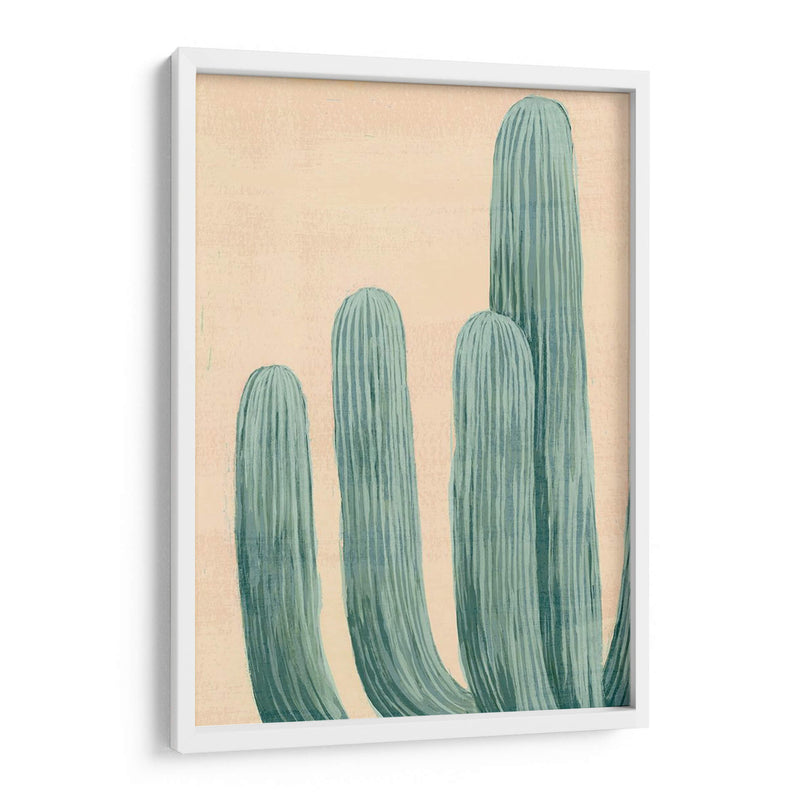 Cactus Polvoriento I - Grace Popp | Cuadro decorativo de Canvas Lab
