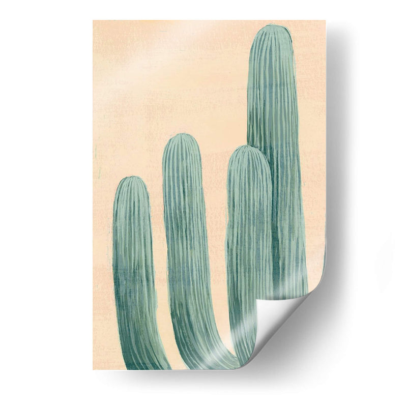 Cactus Polvoriento I - Grace Popp | Cuadro decorativo de Canvas Lab