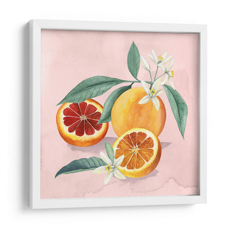 Flor De Naranja Ii - Grace Popp | Cuadro decorativo de Canvas Lab