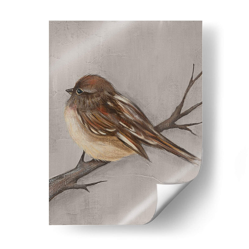 Aves De Invierno Iii - Jade Reynolds | Cuadro decorativo de Canvas Lab