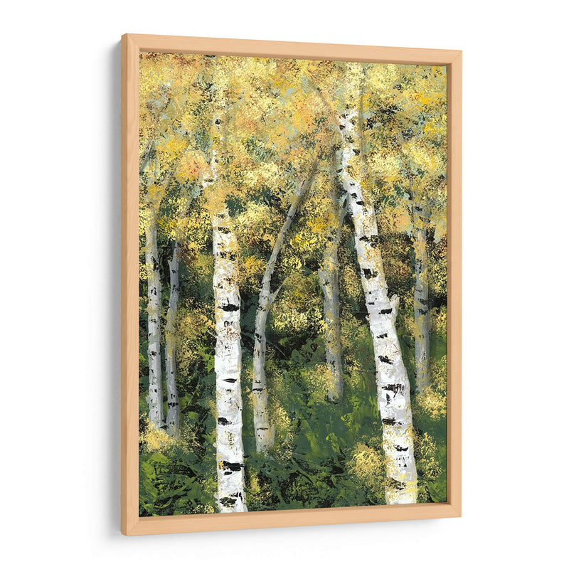 Birch Treeline Iii - Jade Reynolds | Cuadro decorativo de Canvas Lab