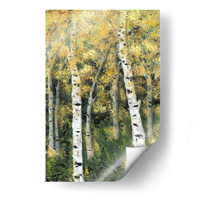 Birch Treeline Iii - Jade Reynolds | Cuadro decorativo de Canvas Lab