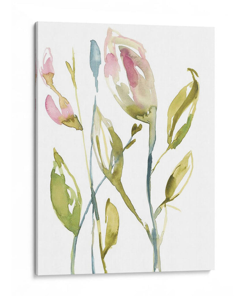 Tallos Florecientes Ii - Jennifer Goldberger | Cuadro decorativo de Canvas Lab