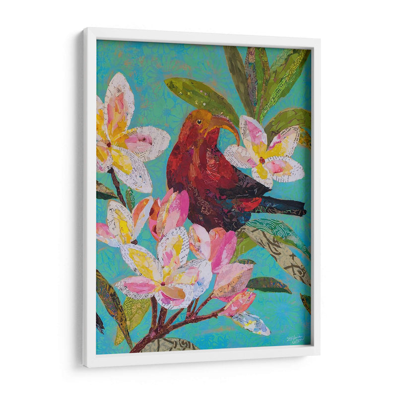 Hawaiian Bird Ii - Elizabeth St. Hilaire | Cuadro decorativo de Canvas Lab