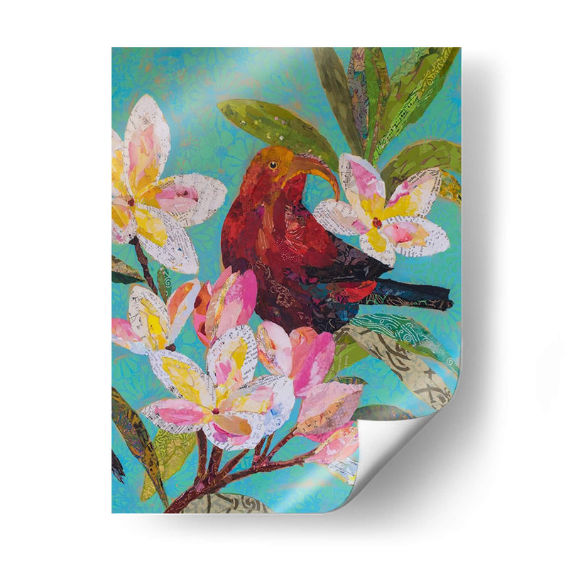 Hawaiian Bird Ii - Elizabeth St. Hilaire | Cuadro decorativo de Canvas Lab