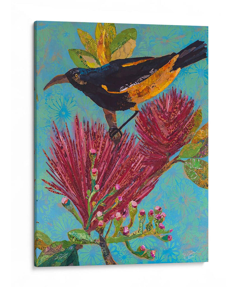 Ave Hawaiana Iii - Elizabeth St. Hilaire | Cuadro decorativo de Canvas Lab