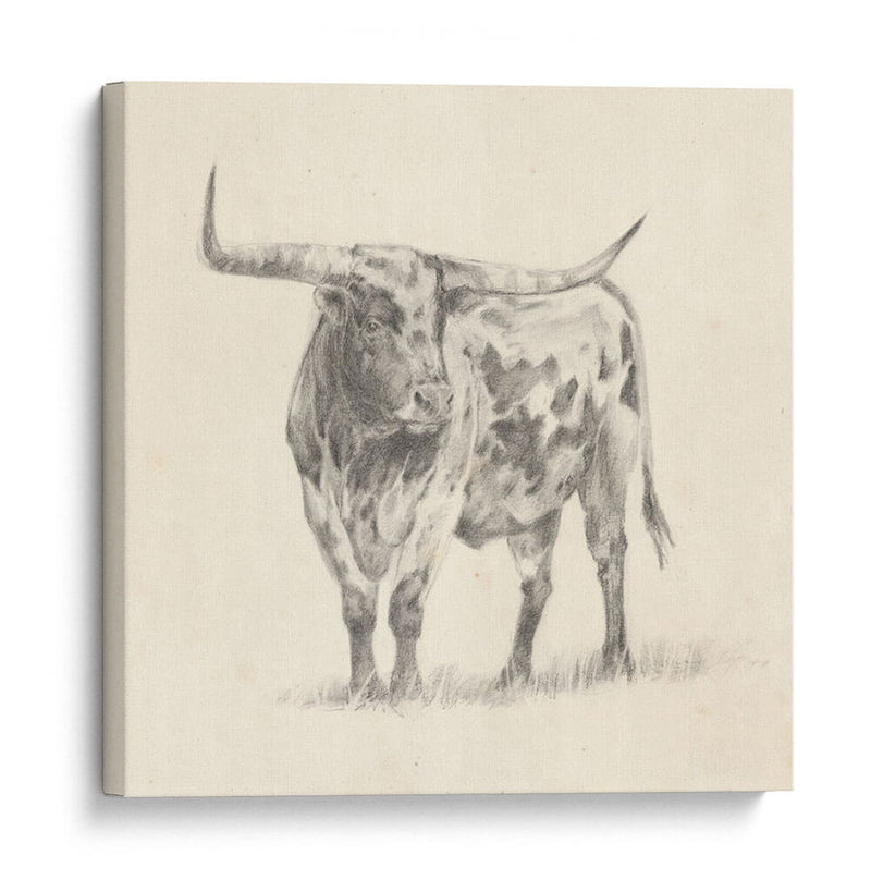Longhorn Steer Sketch Ii - Ethan Harper | Cuadro decorativo de Canvas Lab