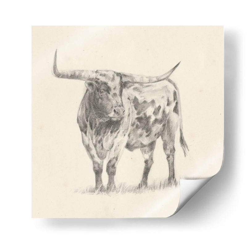 Longhorn Steer Sketch Ii - Ethan Harper | Cuadro decorativo de Canvas Lab