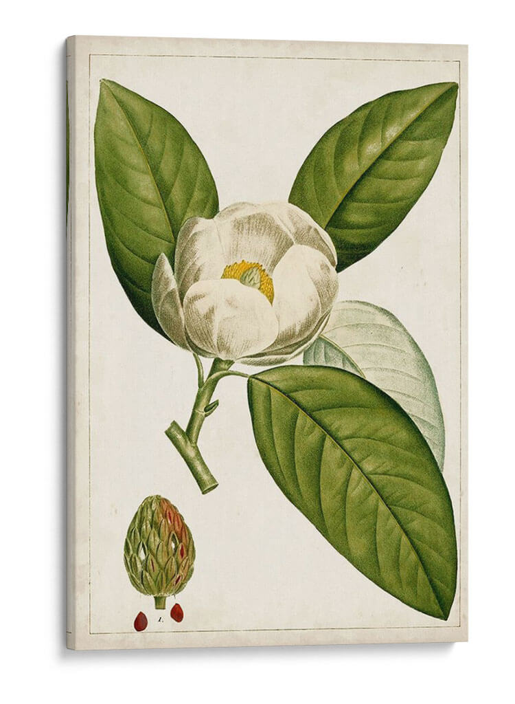 Árboles Florales Antiguos Ii | Cuadro decorativo de Canvas Lab
