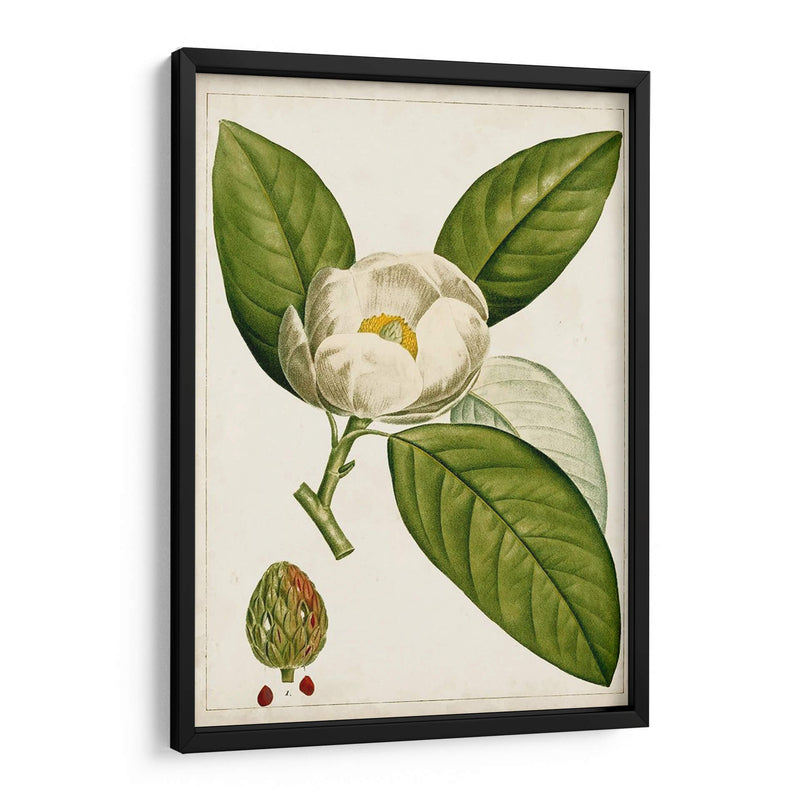 Árboles Florales Antiguos Ii | Cuadro decorativo de Canvas Lab