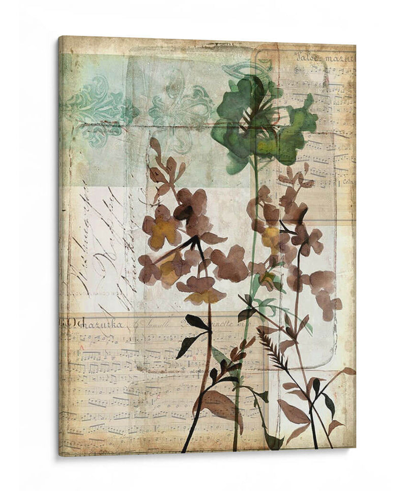 Caja De Música Floral Ii - Jennifer Goldberger | Cuadro decorativo de Canvas Lab