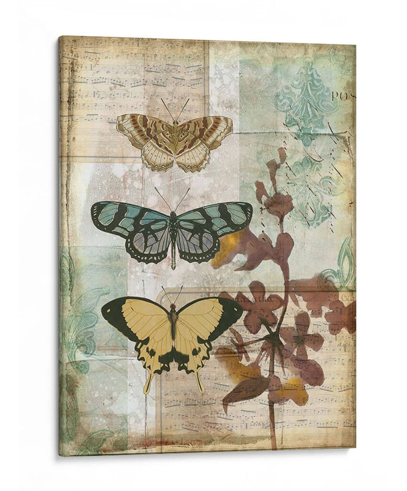 Caja De Música Mariposas I - Jennifer Goldberger | Cuadro decorativo de Canvas Lab