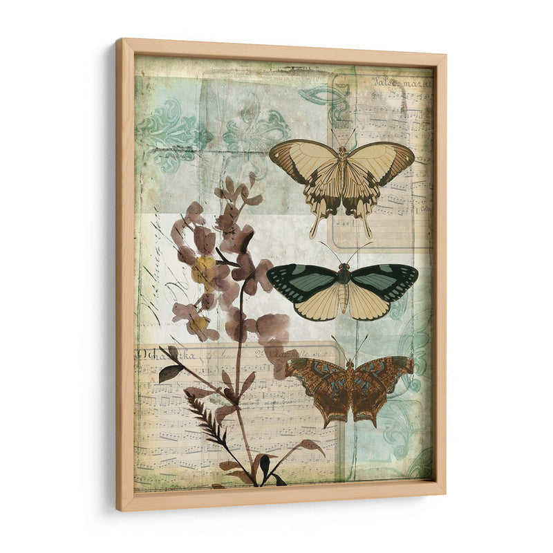 Caja De Música Mariposas Ii - Jennifer Goldberger | Cuadro decorativo de Canvas Lab