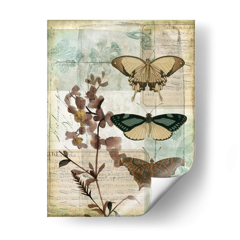 Caja De Música Mariposas Ii - Jennifer Goldberger | Cuadro decorativo de Canvas Lab