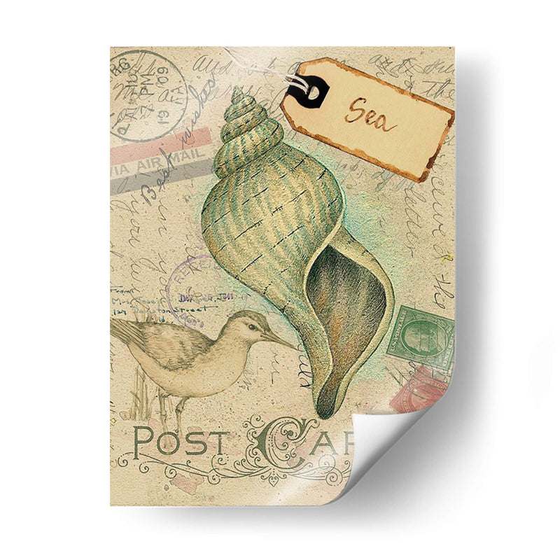 Cáscaras De Postal Ii - Nancy S. Pallan | Cuadro decorativo de Canvas Lab