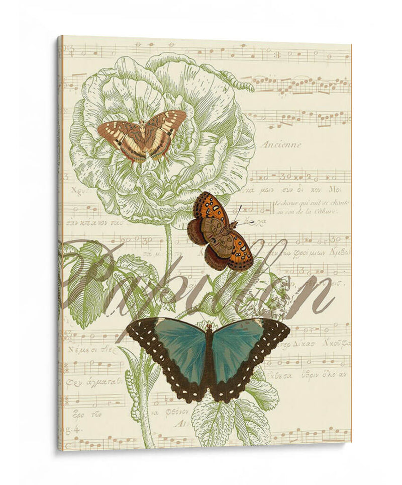 Papillon Melange Ii - Vision Studio | Cuadro decorativo de Canvas Lab