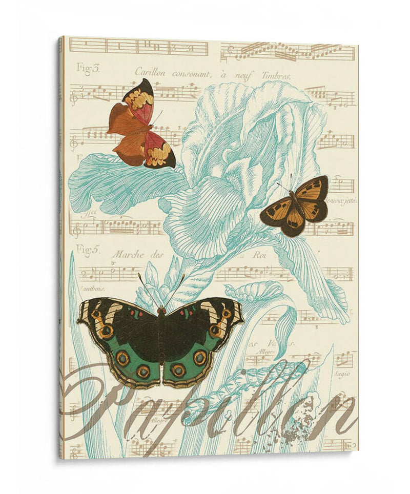 Papillon Melange Iii - Vision Studio | Cuadro decorativo de Canvas Lab