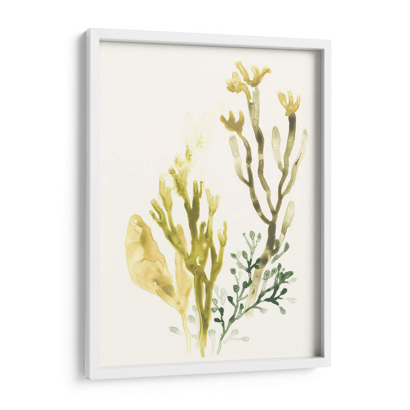 Colección Kelp Ii - June Erica Vess | Cuadro decorativo de Canvas Lab