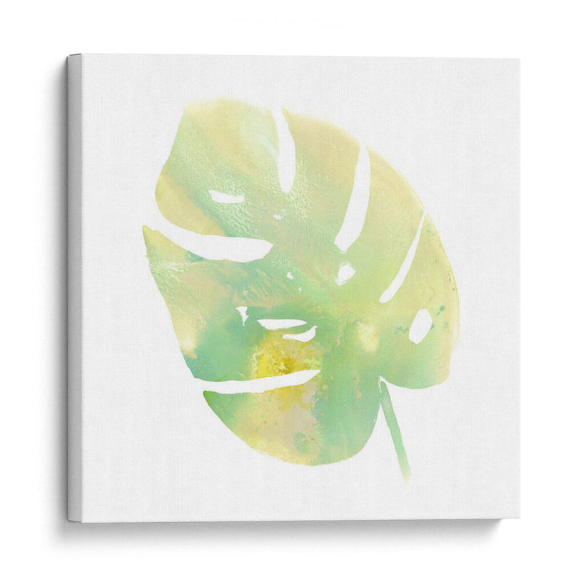 Prisma Tropical I - June Erica Vess | Cuadro decorativo de Canvas Lab