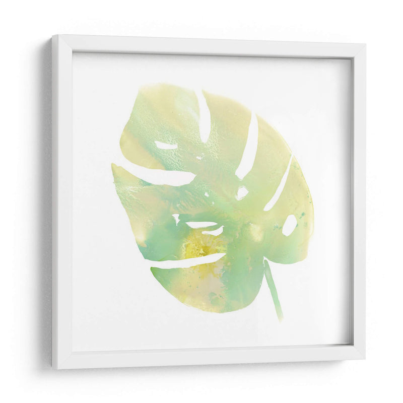 Prisma Tropical I - June Erica Vess | Cuadro decorativo de Canvas Lab