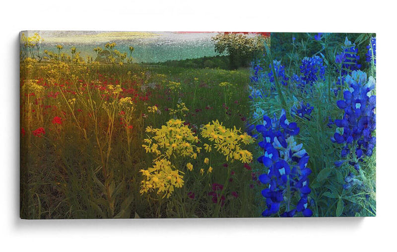 36X72 Panorama De Flores Silvestres (Ceniza) - Sisa Jasper | Cuadro decorativo de Canvas Lab