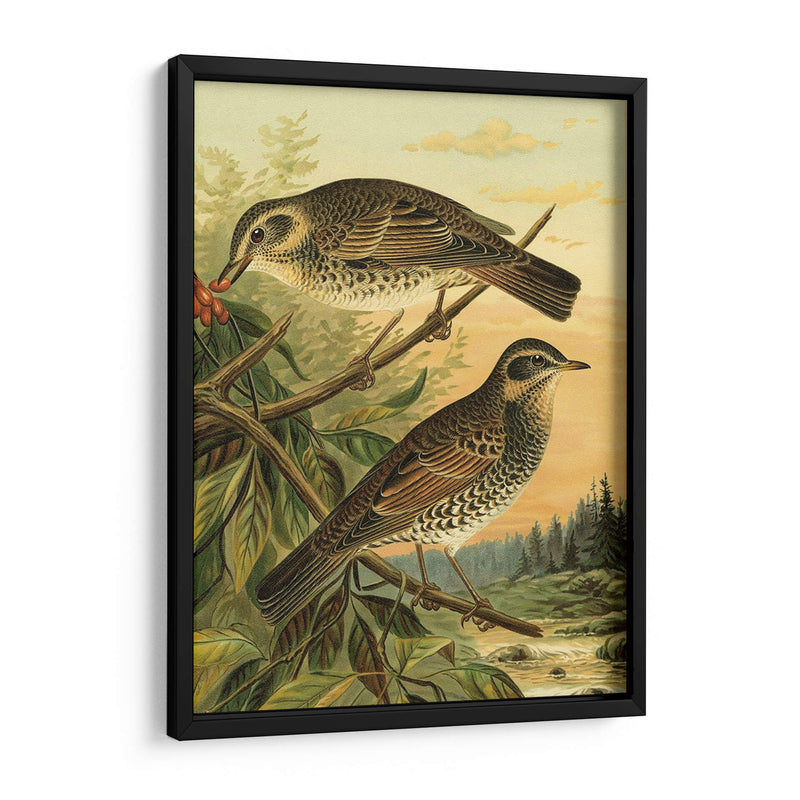 Pequeñas Aves De Bosques Ii - Vision Studio | Cuadro decorativo de Canvas Lab
