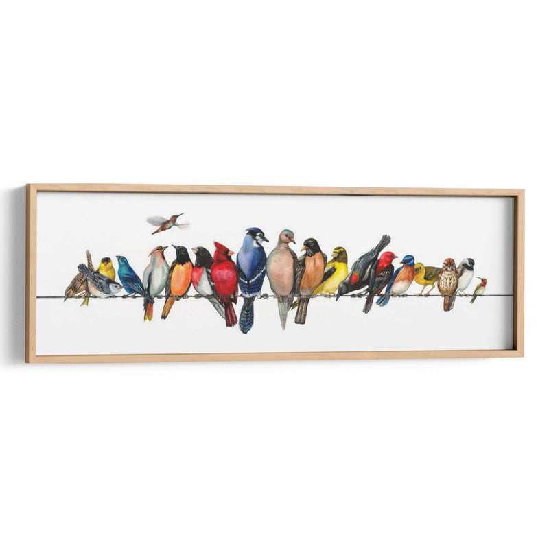 Menagerie De Pájaros Grandes - Wendy Russell | Cuadro decorativo de Canvas Lab
